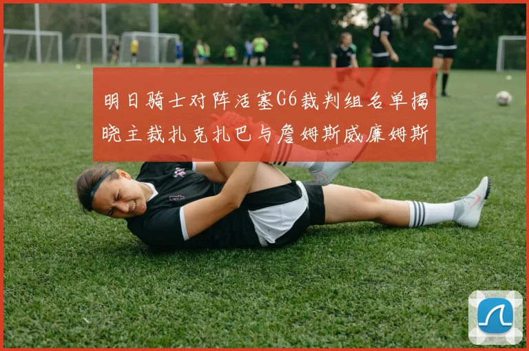 明日骑士对阵活塞G6裁判组名单揭晓主裁扎克扎巴与詹姆斯威廉姆斯在列